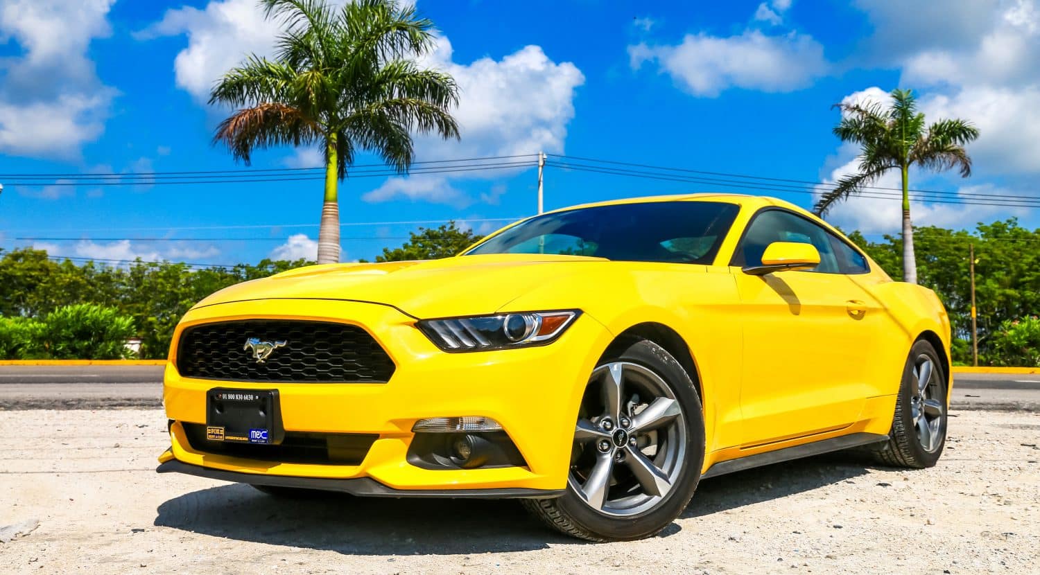 locations Chaney's Collision Centers